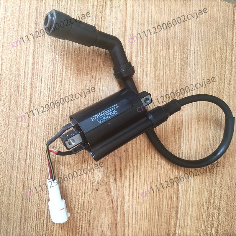 ZT310-V X T R1 2 오토바이 고전압 패키지, - Motorcycle Spark Plug 리뷰 및 가격