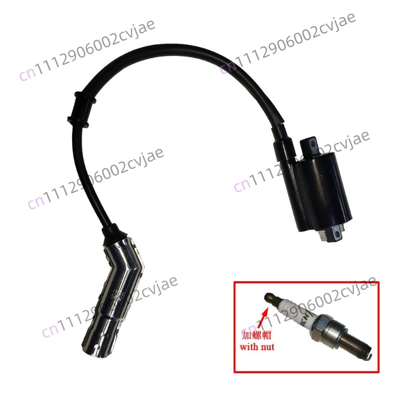 ZT310-V X T R1 2 오토바이 고전압 패키지, - Motorcycle Spark Plug 리뷰 및 가격